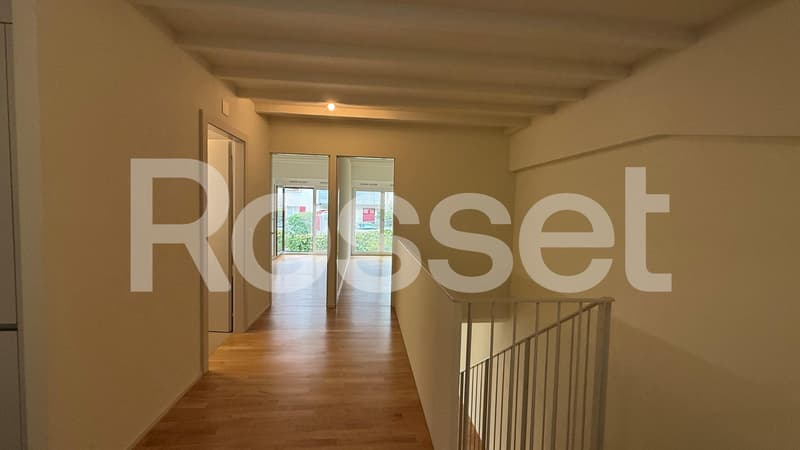 A louer, superbe appartement duplex de 4.5 pièces au 2ème sous-sol (3)
