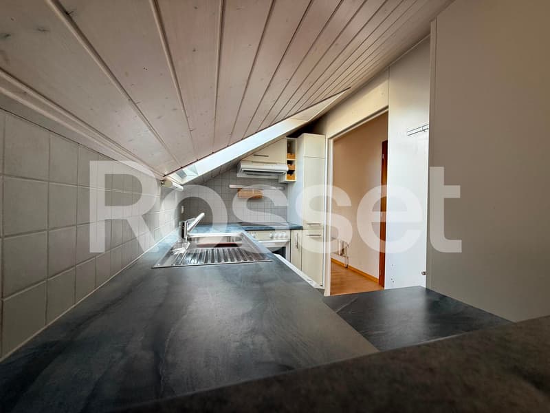 Magnifique appartement de 3.5 pièces avec vue panoramique sur le lac (2)