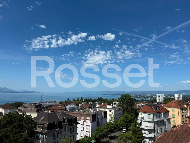 Magnifique appartement de 3.5 pièces avec vue panoramique sur le lac (8)
