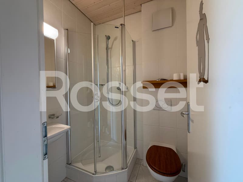 Magnifique appartement de 3.5 pièces avec vue panoramique sur le lac (9)