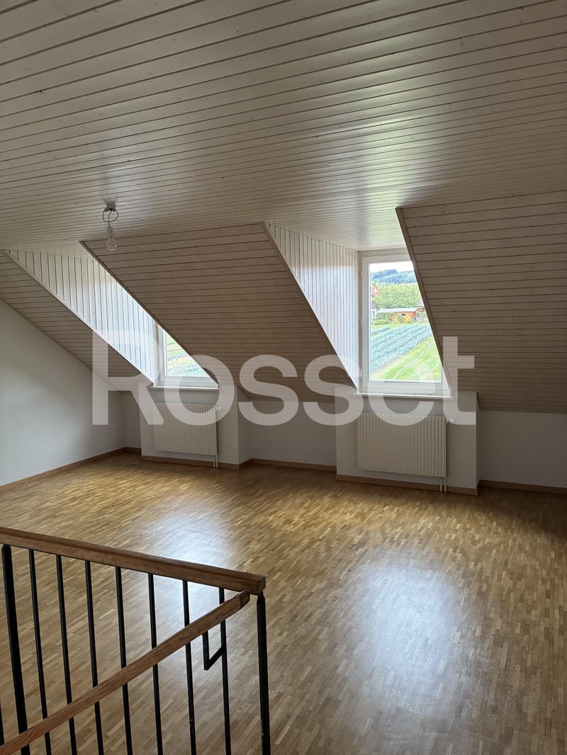 Appartement de 3 pièces au 1er étage en duplex (3)