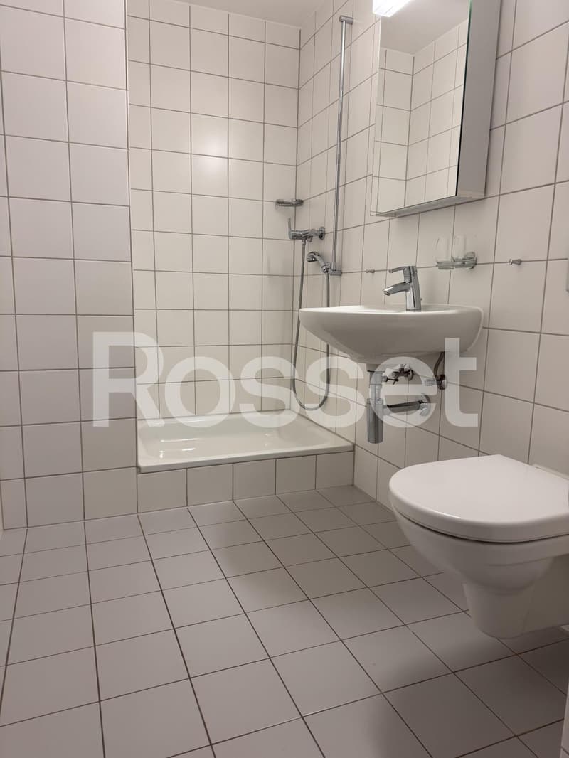 3½ Zimmer auf ca. 78,5 m² (5)