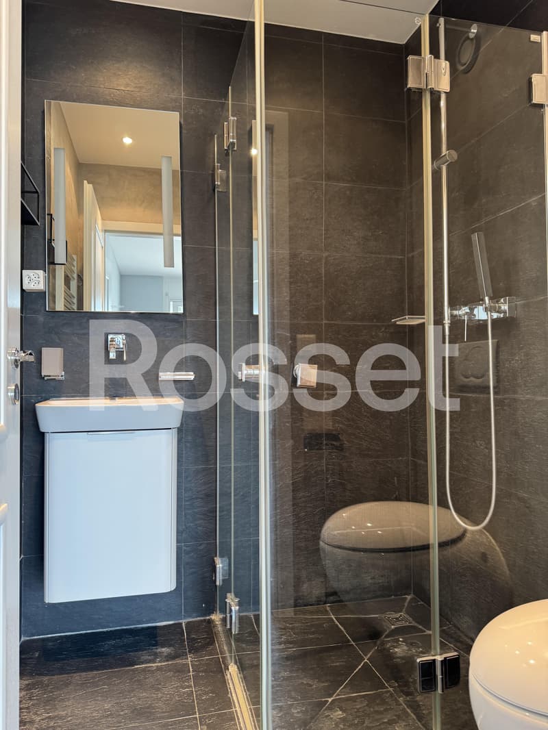 Appartement de 4 pièces au 6ème étage (6)