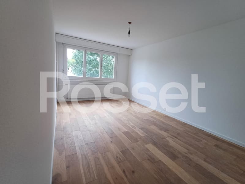 Wohnung 4.5 Zimmer 2. Stock (3)