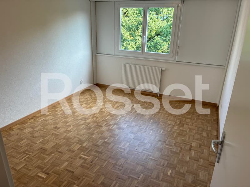 Appartamento di 5.5 locali con balcone al 5° piano (5)