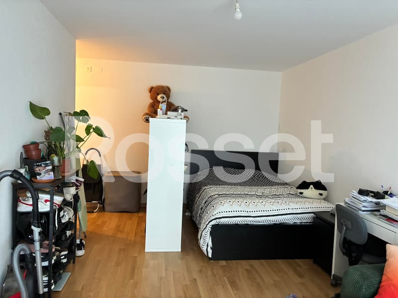 1.5 room apartment on the 11th floor (2)