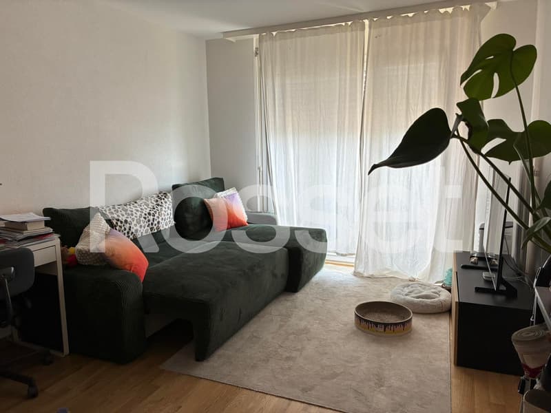 1.5 room apartment on the 11th floor (3)