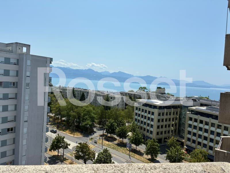 1.5 room apartment on the 11th floor (1)