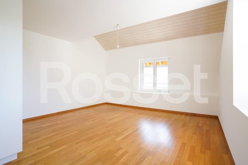 Appartement de 5 pièces triplex (9)