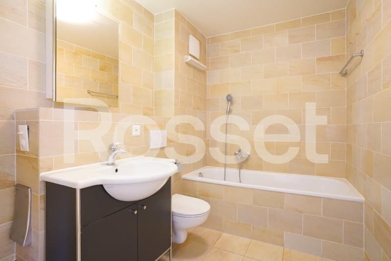 Appartement de 5 pièces triplex (10)