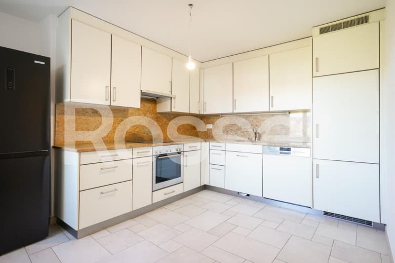 Appartement de 5 pièces triplex (3)