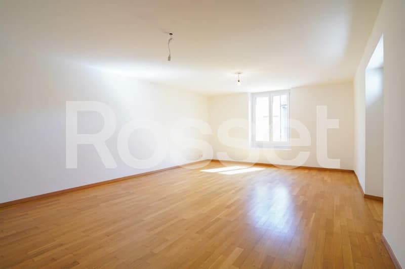 Appartement de 5 pièces triplex (11)