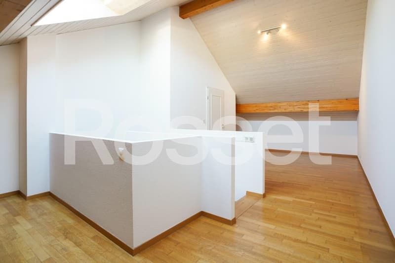 Appartement de 5 pièces triplex (7)