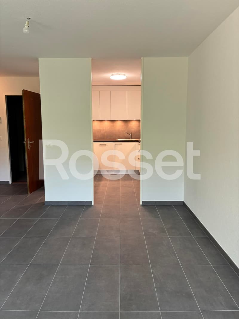 Appartement de 3.5 pièces au rez-de-chaussée (3)