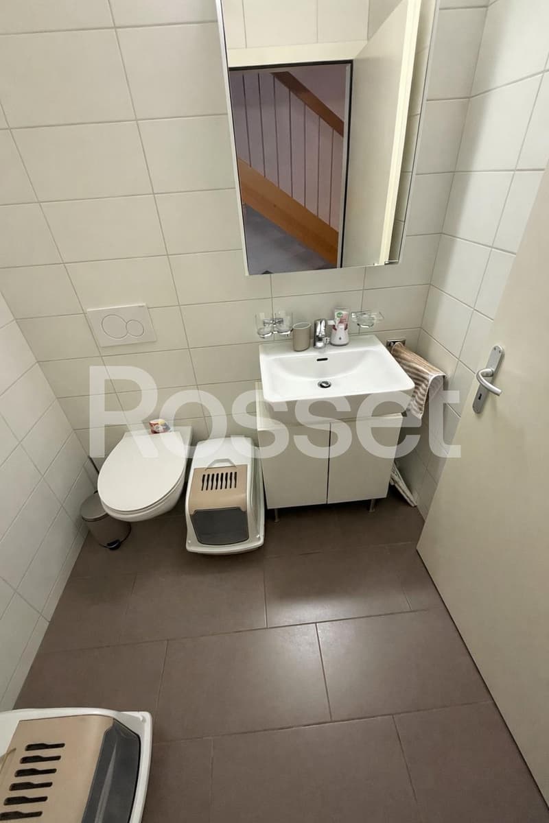 Magnifique appartement duplex de 3.5 pièces au 1er étage (9)