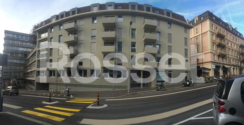 Magnifique appartement duplex de 3.5 pièces au 1er étage (1)