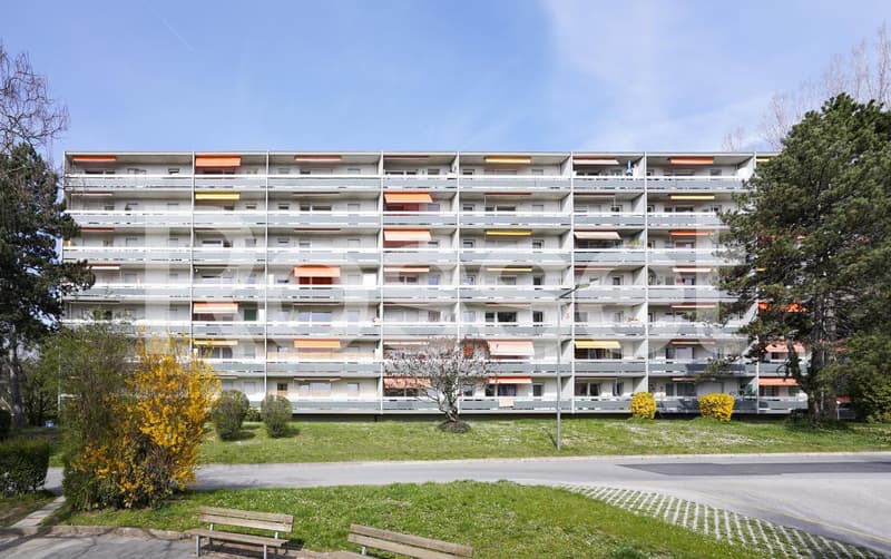 Appartement de 2 pièces au 7ème étage (1)