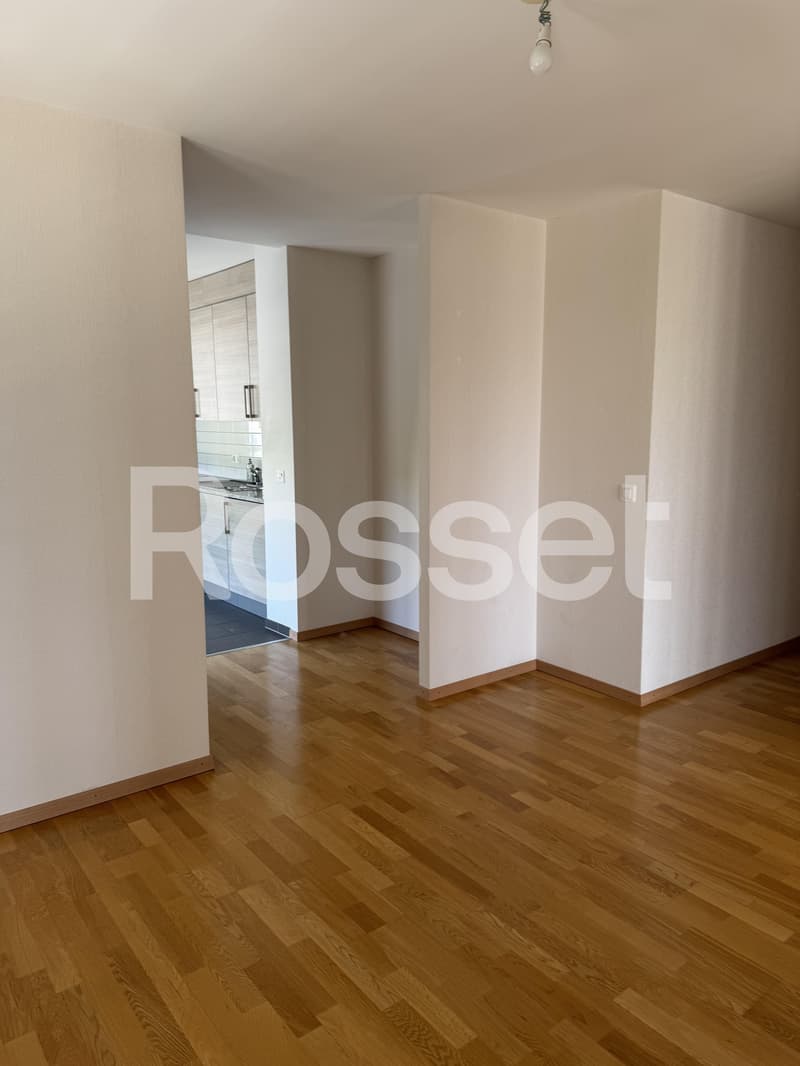 Appartement 4,5 pièces au 6ème étage (6)