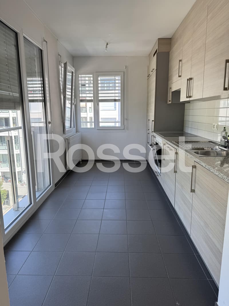 Appartement 4,5 pièces au 6ème étage (4)