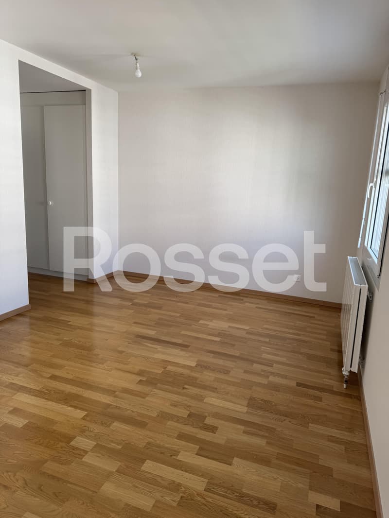Appartement 4,5 pièces au 6ème étage (10)