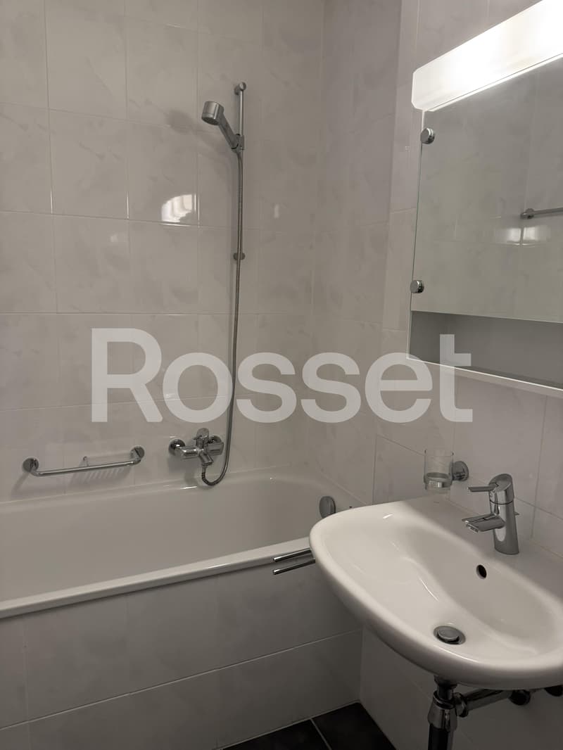Appartement 4,5 pièces au 6ème étage (7)