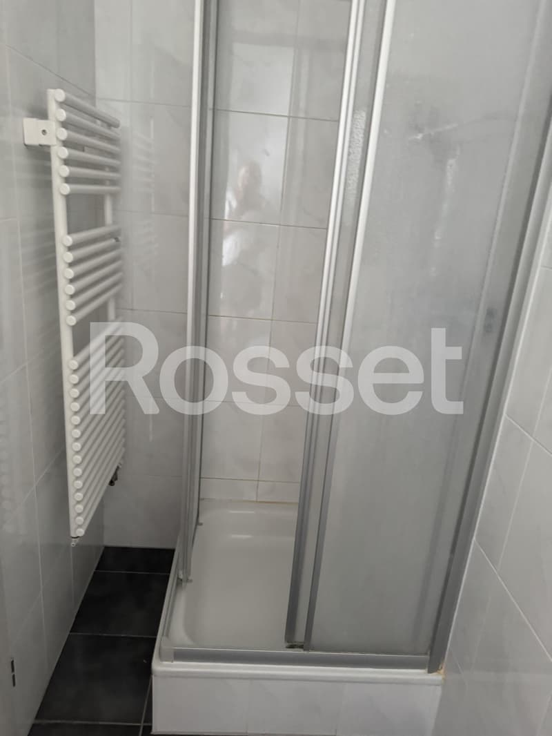 Appartement 4,5 pièces au 6ème étage (8)