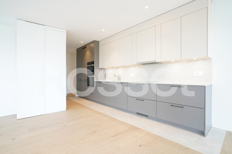 Rare à la location, lumineux appartement au coeur de la ville (2)
