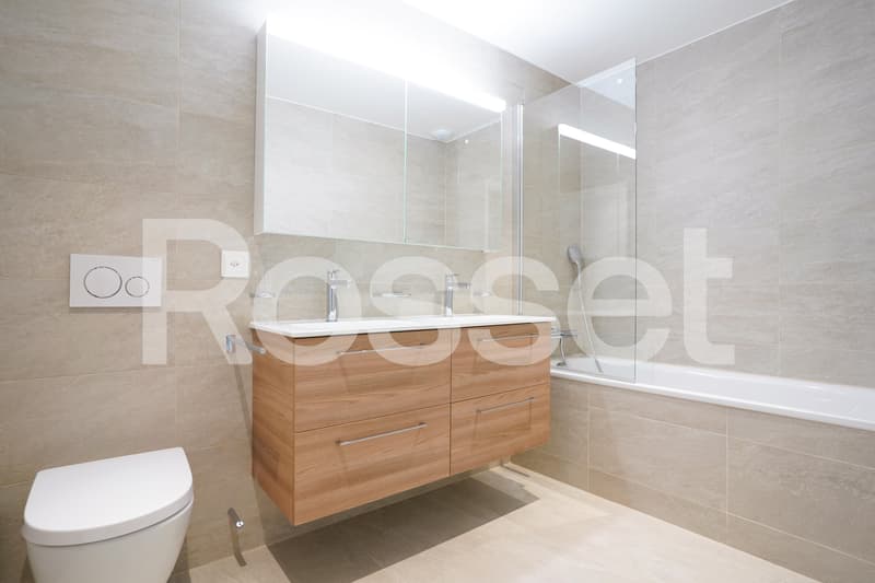 Rare à la location, lumineux appartement au coeur de la ville (6)