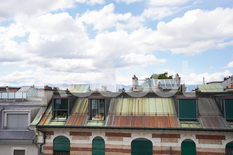 Rare à la location, lumineux appartement au coeur de la ville (7)