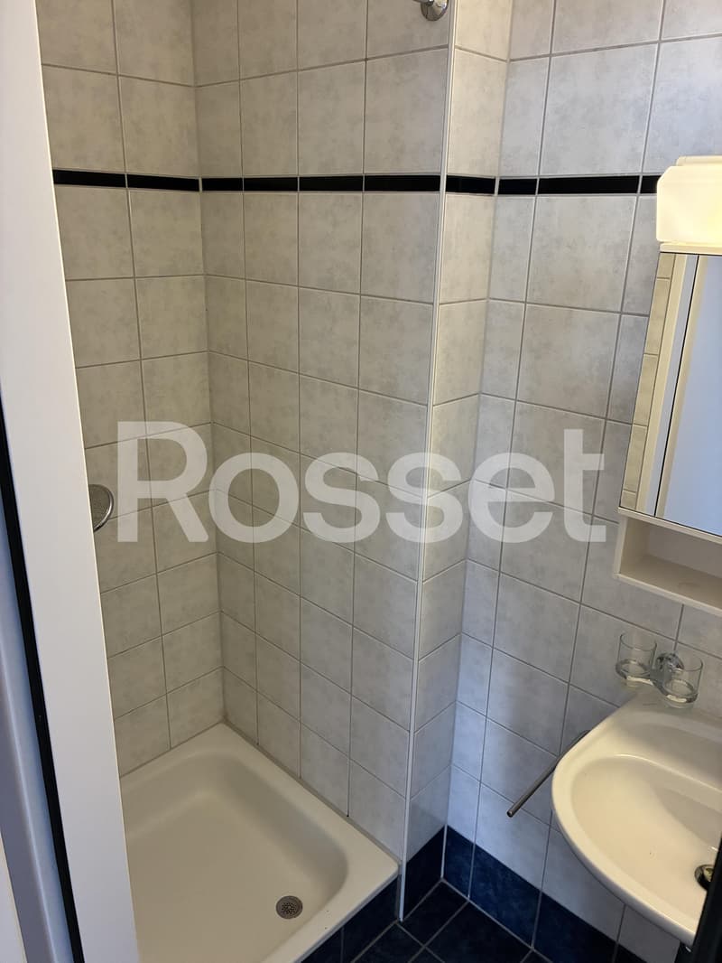 Appartement de 4.5 pièces au 6ème étage (6)