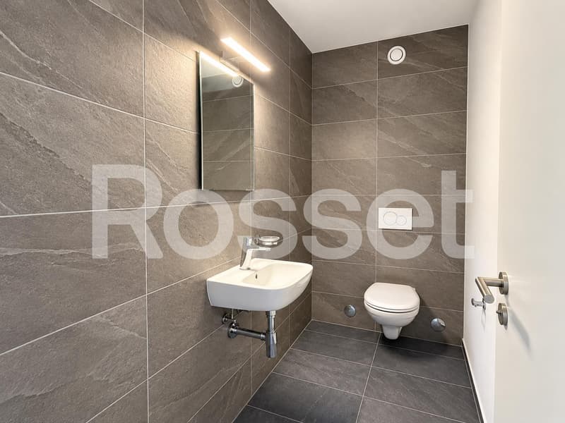 Appartement entièrement neuf de 3.5 pièces au 1er étage (5)
