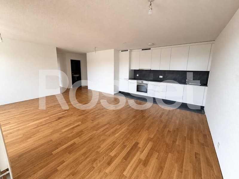 Appartement entièrement neuf de 4.5 pièces au 1er étage (2)