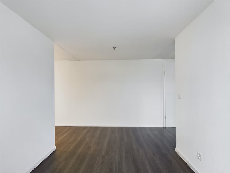 Charming 2.5 room attic apartment with old building charm (6)