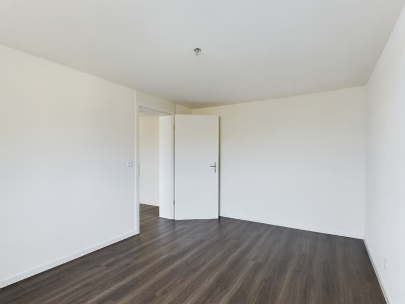 Charming 2.5 room attic apartment with old building charm (4)