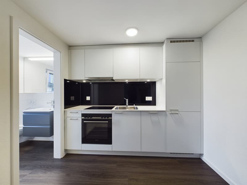 Charming 2.5 room attic apartment with old building charm (1)