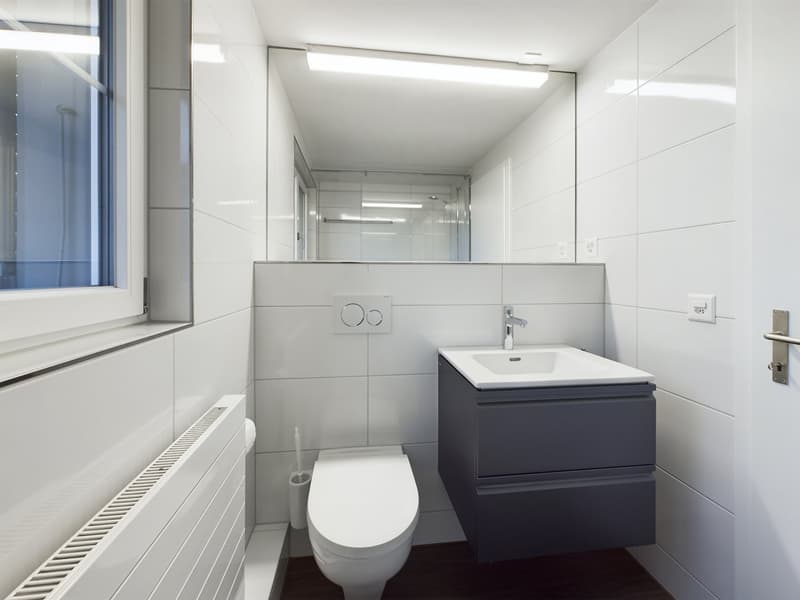 Charming 2.5 room attic apartment with old building charm (8)