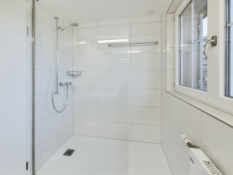 Charming 2.5 room attic apartment with old building charm (9)