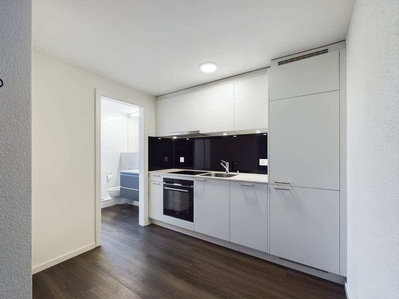 Charming 2.5 room attic apartment with old building charm (2)
