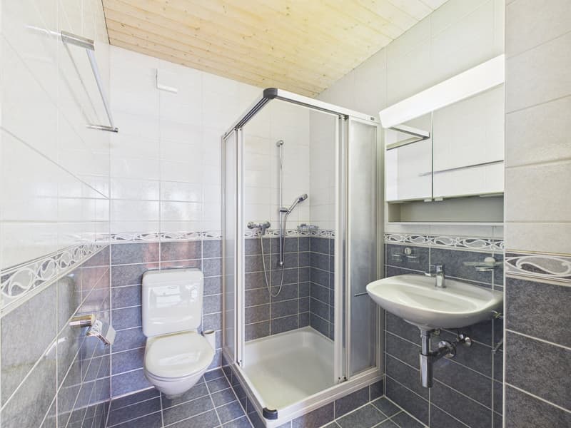 white and gray tiled walls, white toilet, glass shower enclosure, white sink, wooden ceiling