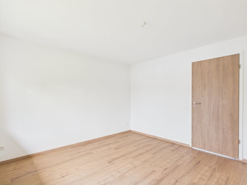 First occupancy after renovation: Bright 2.5-room apartment with balcony (7)