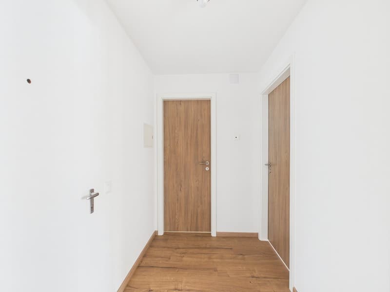 First occupancy after renovation: Bright 2.5-room apartment with balcony (8)