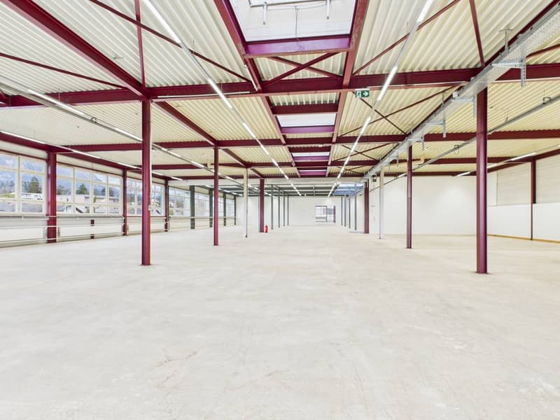 Produktions- und Gewerbefläche mit Büroanteil in Industriezone I (1)