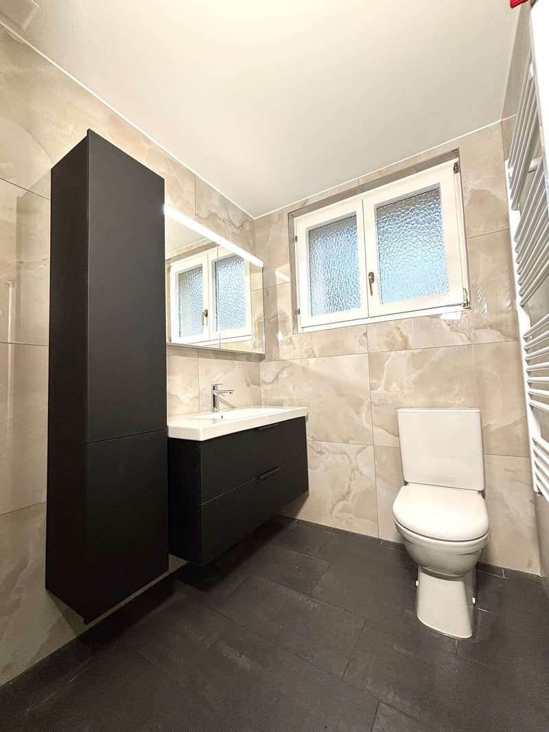 Appartement de 3,5 pièces au rez-de-chaussée rénové dans une maison de deux familles bien entretenue (7)