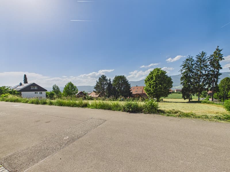 Maison de famille exclusive de 6,5 pièces avec piscine, jardin d'hiver et beaucoup de privacité à Arch BE (25)