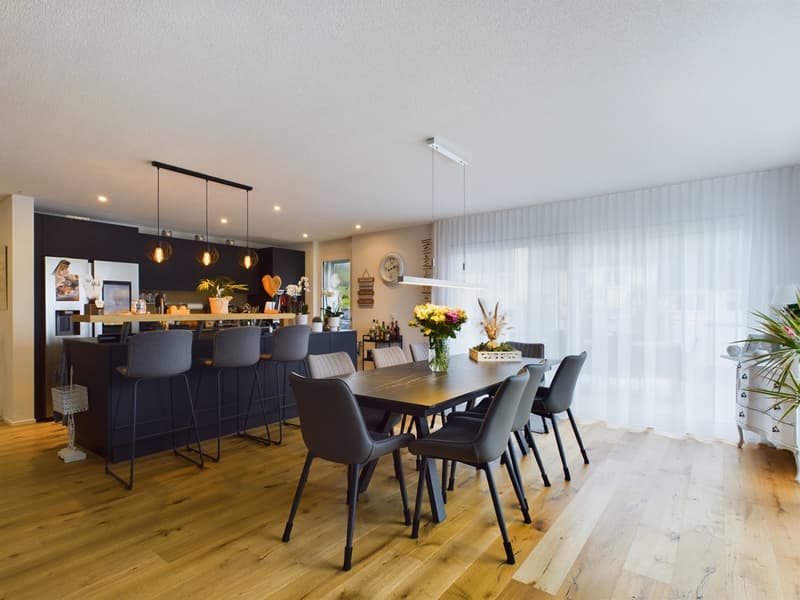5½-room attic apartment with 152 m² terrace, direct lift access and whirlpool (3)