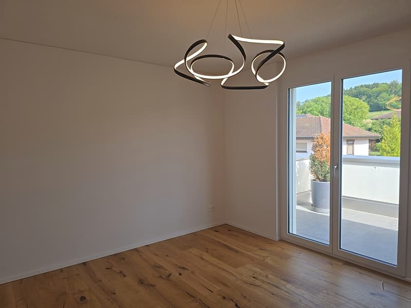 5½-room attic apartment with 152 m² terrace, direct lift access and whirlpool (15)