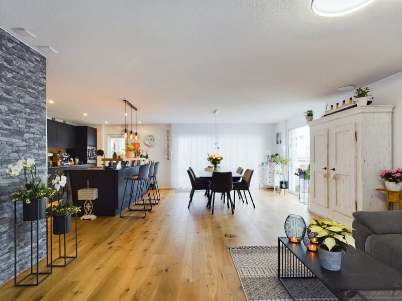 5½-room attic apartment with 152 m² terrace, direct lift access and whirlpool (4)