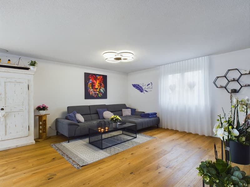 5½-room attic apartment with 152 m² terrace, direct lift access and whirlpool (7)