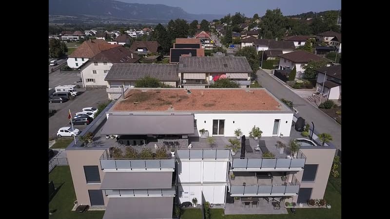 5½-room attic apartment with 152 m² terrace, direct lift access and whirlpool (20)