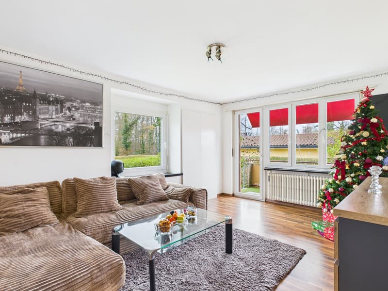 3½-Zimmerwohnung mit grossem Gartensitzplatz – Wohnen direkt an der Aare (8)